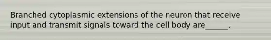 Branched cytoplasmic extensions of the neuron that receive input and transmit signals toward the cell body are______.