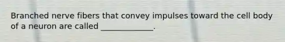 Branched nerve fibers that convey impulses toward the cell body of a neuron are called _____________.