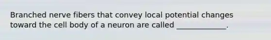 Branched nerve fibers that convey local potential changes toward the cell body of a neuron are called _____________.