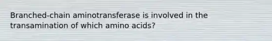 Branched-chain aminotransferase is involved in the transamination of which <a href='https://www.questionai.com/knowledge/k9gb720LCl-amino-acids' class='anchor-knowledge'>amino acids</a>?