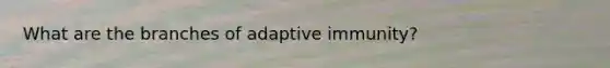 What are the branches of adaptive immunity?