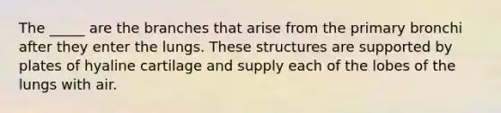 The _____ are the branches that arise from the primary bronchi after they enter the lungs. These structures are supported by plates of hyaline cartilage and supply each of the lobes of the lungs with air.