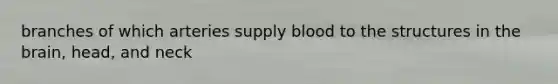 branches of which arteries supply blood to the structures in the brain, head, and neck