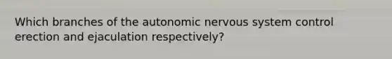 Which branches of the autonomic nervous system control erection and ejaculation respectively?