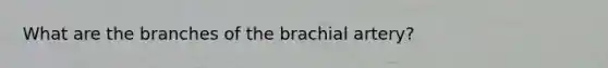 What are the branches of the brachial artery?