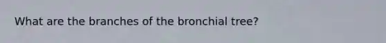 What are the branches of the bronchial tree?