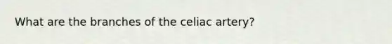 What are the branches of the celiac artery?