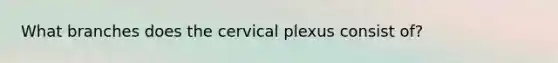 What branches does the cervical plexus consist of?