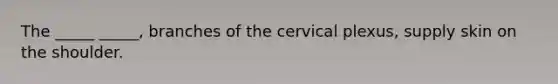 The _____ _____, branches of the cervical plexus, supply skin on the shoulder.