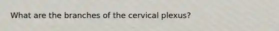 What are the branches of the cervical plexus?