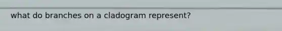 what do branches on a cladogram represent?