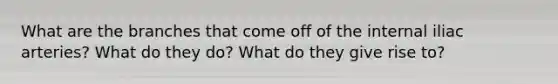 What are the branches that come off of the internal iliac arteries? What do they do? What do they give rise to?