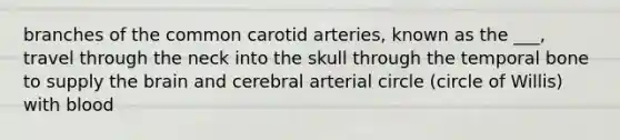 branches of the common carotid arteries, known as the ___, travel through the neck into the skull through the temporal bone to supply the brain and cerebral arterial circle (circle of Willis) with blood