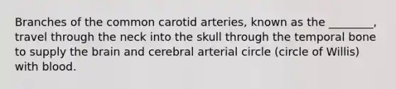 Branches of the common carotid arteries, known as the ________, travel through the neck into the skull through the temporal bone to supply the brain and cerebral arterial circle (circle of Willis) with blood.