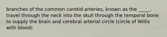 branches of the common carotid arteries, known as the _____, travel through the neck into the skull through the temporal bone to supply the brain and cerebral arterial circle (circle of Willis with blood)