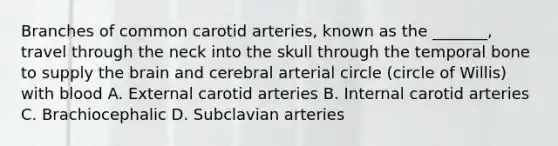 Branches of common carotid arteries, known as the _______, travel through the neck into the skull through the temporal bone to supply the brain and cerebral arterial circle (circle of Willis) with blood A. External carotid arteries B. Internal carotid arteries C. Brachiocephalic D. Subclavian arteries