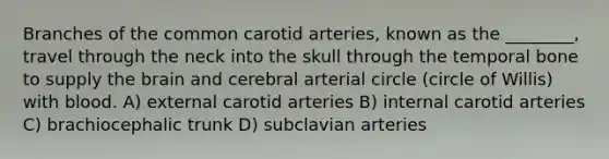 Branches of the common carotid arteries, known as the ________, travel through the neck into the skull through the temporal bone to supply the brain and cerebral arterial circle (circle of Willis) with blood. A) external carotid arteries B) internal carotid arteries C) brachiocephalic trunk D) subclavian arteries