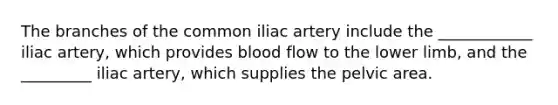 The branches of the common iliac artery include the ____________ iliac artery, which provides blood flow to the lower limb, and the _________ iliac artery, which supplies the pelvic area.