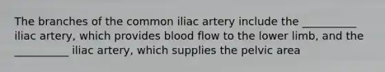 The branches of the common iliac artery include the __________ iliac artery, which provides blood flow to the lower limb, and the __________ iliac artery, which supplies the pelvic area