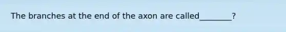 The branches at the end of the axon are called________?