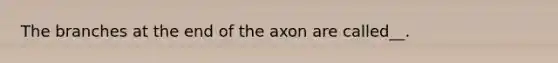 The branches at the end of the axon are called__.