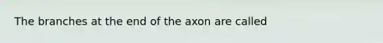 The branches at the end of the axon are called