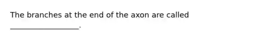 The branches at the end of the axon are called __________________.