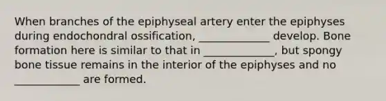 When branches of the epiphyseal artery enter the epiphyses during endochondral ossification, _____________ develop. Bone formation here is similar to that in _____________, but spongy bone tissue remains in the interior of the epiphyses and no ____________ are formed.