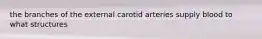 the branches of the external carotid arteries supply blood to what structures