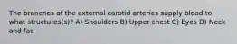 The branches of the external carotid arteries supply blood to what structures(s)? A) Shoulders B) Upper chest C) Eyes D) Neck and fac