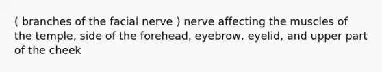 ( branches of the facial nerve ) nerve affecting the muscles of the temple, side of the forehead, eyebrow, eyelid, and upper part of the cheek