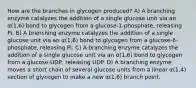 How are the branches in glycogen produced? A) A branching enzyme catalyzes the addition of a single glucose unit via an α(1,6) bond to glycogen from a glucose-1-phosphate, releasing Pi. B) A branching enzyme catalyzes the addition of a single glucose unit via an α(1,6) bond to glycogen from a glucose-6-phosphate, releasing Pi. C) A branching enzyme catalyzes the addition of a single glucose unit via an α(1,6) bond to glycogen from a glucose-UDP, releasing UDP. D) A branching enzyme moves a short chain of several glucose units from a linear α(1,4) section of glycogen to make a new α(1,6) branch point.