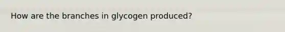 How are the branches in glycogen produced?