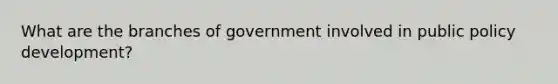 What are the branches of government involved in public policy development?