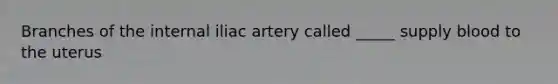 Branches of the internal iliac artery called _____ supply blood to the uterus