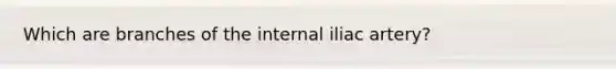 Which are branches of the internal iliac artery?