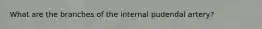 What are the branches of the internal pudendal artery?