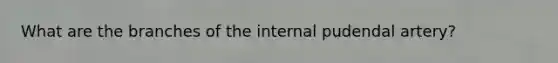 What are the branches of the internal pudendal artery?