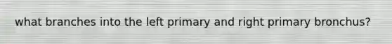 what branches into the left primary and right primary bronchus?