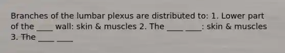 Branches of the lumbar plexus are distributed to: 1. Lower part of the ____ wall: skin & muscles 2. The ____ ____: skin & muscles 3. The ____ ____