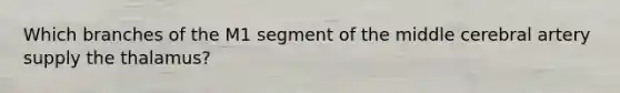 Which branches of the M1 segment of the middle cerebral artery supply the thalamus?