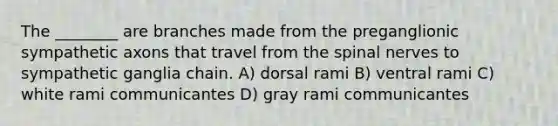 The ________ are branches made from the preganglionic sympathetic axons that travel from the spinal nerves to sympathetic ganglia chain. A) dorsal rami B) ventral rami C) white rami communicantes D) gray rami communicantes