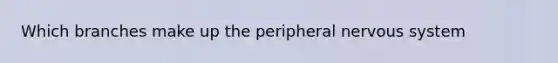 Which branches make up the peripheral <a href='https://www.questionai.com/knowledge/kThdVqrsqy-nervous-system' class='anchor-knowledge'>nervous system</a>