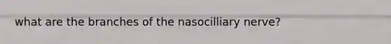 what are the branches of the nasocilliary nerve?