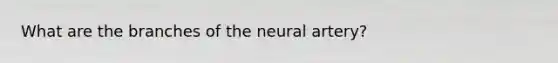 What are the branches of the neural artery?