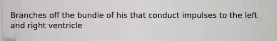Branches off the bundle of his that conduct impulses to the left and right ventricle