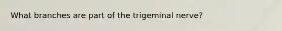 What branches are part of the trigeminal nerve?