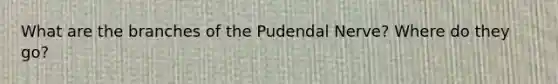 What are the branches of the Pudendal Nerve? Where do they go?