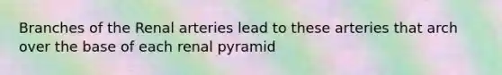 Branches of the Renal arteries lead to these arteries that arch over the base of each renal pyramid