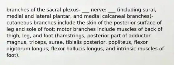 branches of the sacral plexus- ___ nerve: ___ (including sural, medial and lateral plantar, and medial calcaneal branches)- cutaneous branches include the skin of the posterior surface of leg and sole of foot; motor branches include muscles of back of thigh, leg, and foot (hamstrings, posterior part of adductor magnus, triceps, surae, tibialis posterior, popliteus, flexor digitorum longus, flexor hallucis longus, and intrinsic muscles of foot).